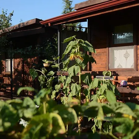 Πανσιόν Camping *