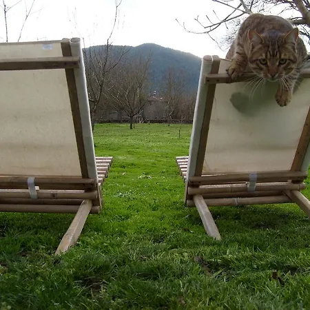 Camping Πανσιόν *