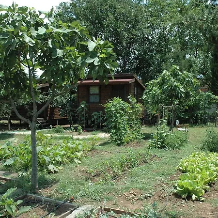 Camping * Kayakoy