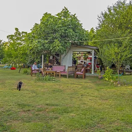 Camping *